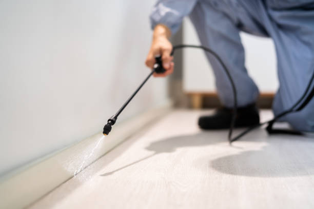 Licensed Fumigation Services service in El Campo, TX - Nex Pest Control