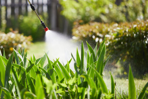 24/7 Emergency Fumigation Services experts in El Campo, TX