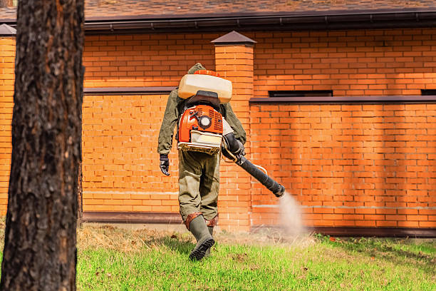 Trusted Rodent Control service in El Campo, TX - Nex Pest Control